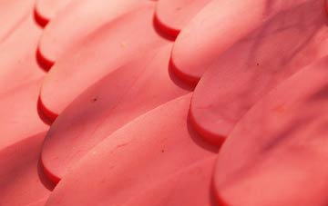 Caistor St Edmund plastic roof costs