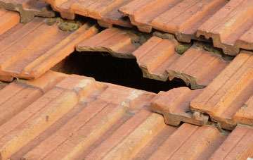 roof repair Caistor St Edmund, Norfolk
